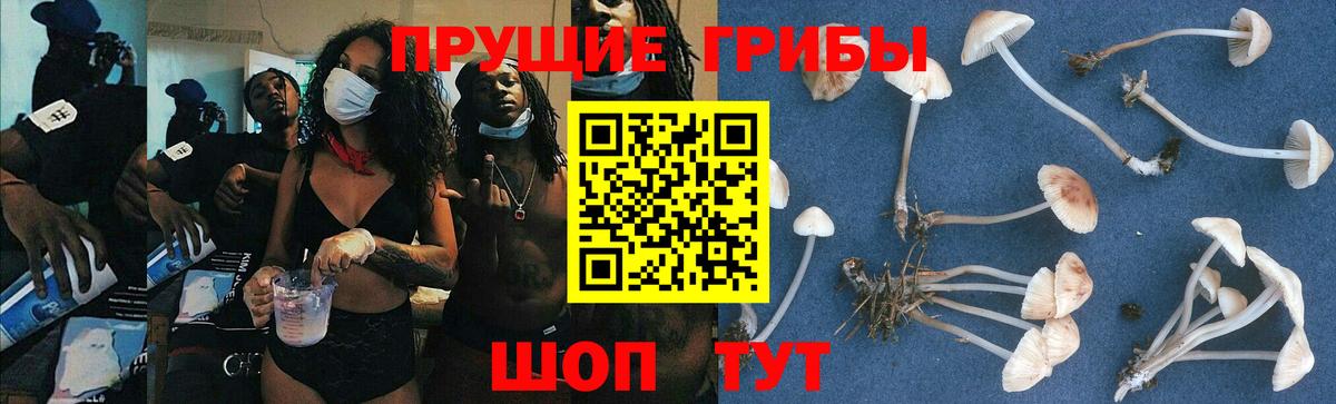 Галлюциногенные грибы Magic Shrooms  Вход с VPN  Туймазы 