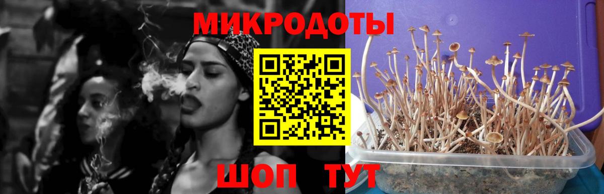 Псилоцибиновые грибы мицелий Туймазы